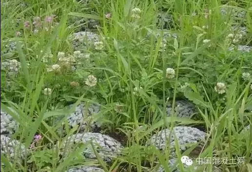 企业微信截图_16094062321520.png